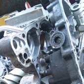 キカイニウムの写真