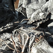 鉄付きトークの写真