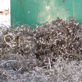 ステンダライの写真